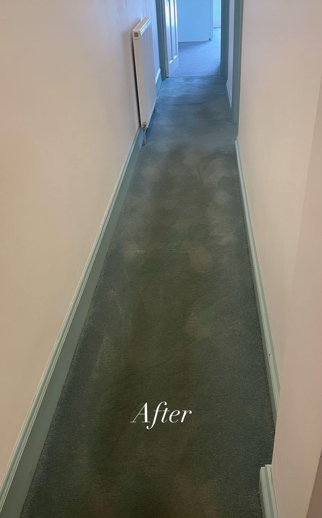 Hallway carpet after hot-water extraction cleaning, fully restored