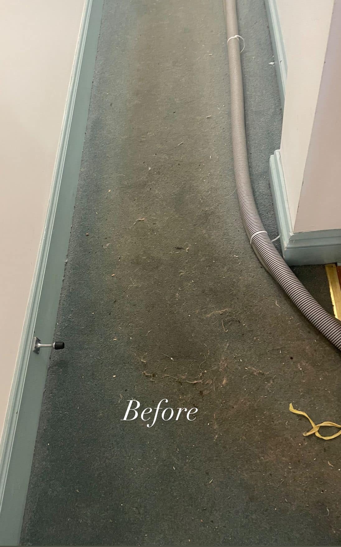 Heavily soiled hallway carpet before professional cleaning, East Devon