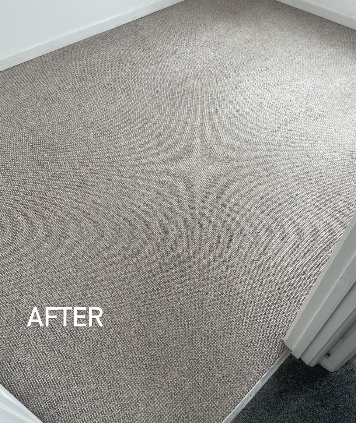 Lounge carpet looking like new after professional cleaning