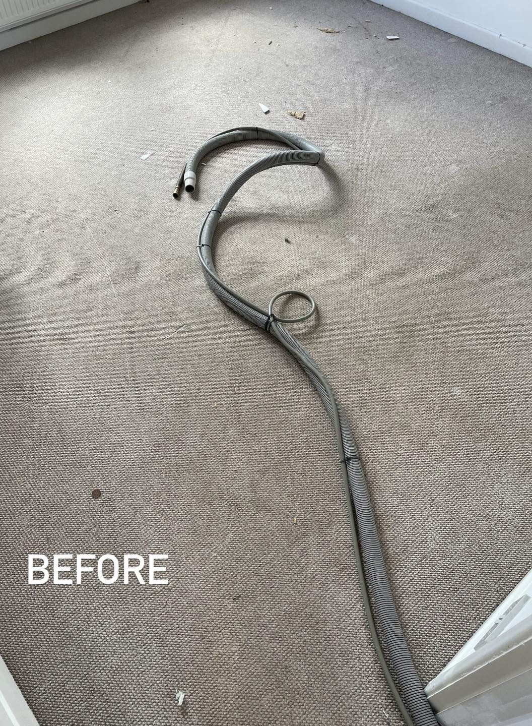 Lounge carpet with debris before cleaning, Honiton